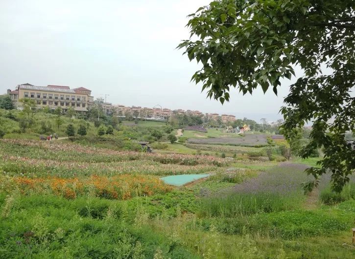 曲靖全国十大宜居城市第一,曲靖荣获多少次全国十大宜居城市