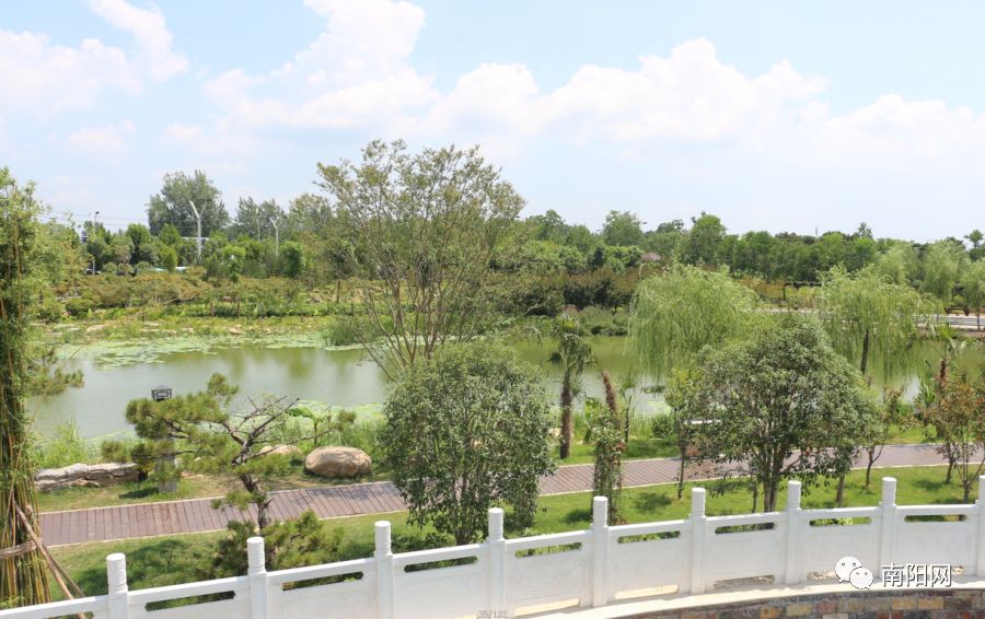 南阳腾飞,南阳飞速发展视频