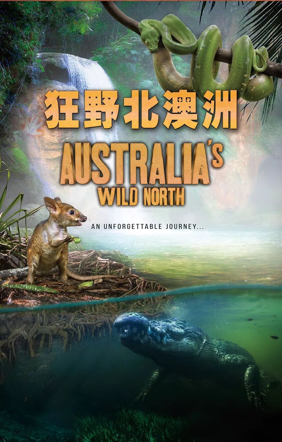 暑期观影季,暑期观影嗨翻天