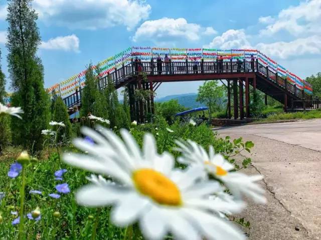 2022洛阳免费景区,一月洛阳景区免门票怎么操作