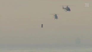 昆汀喜欢李小龙,昆汀回应李小龙形象风波