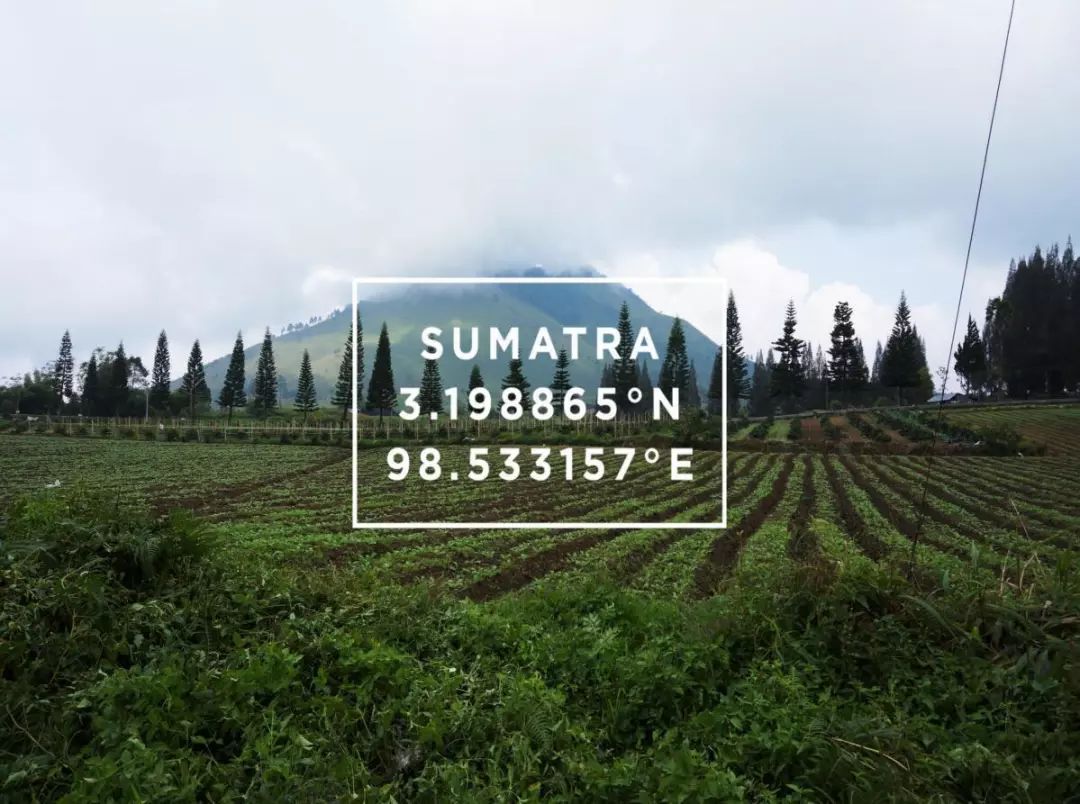 印度尼西亚和印度区别,你不知道的印度尼西亚