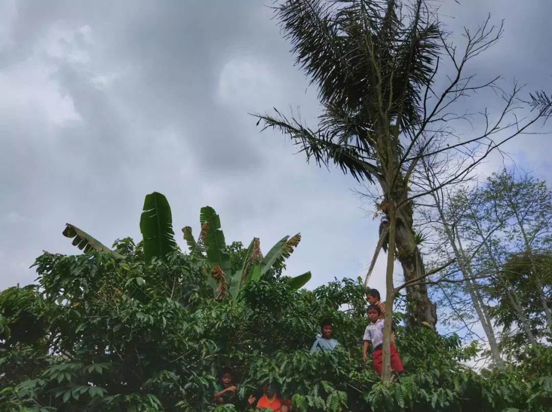 你不知道的印度孟买,你不知道的马来西亚吉隆坡