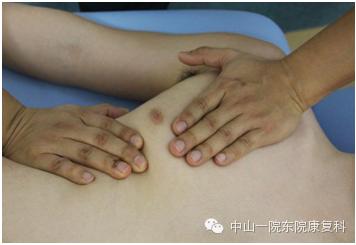 康复治疗技术人体解剖学,12条筋膜链解析及治疗手法