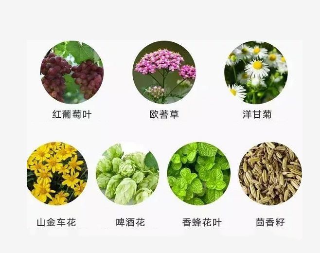 腰酸背痛、肩颈酸乏、肌肉疲劳？德国人有个家喻户晓的妙招||Chin@美物