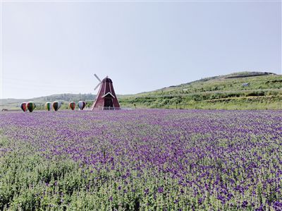 湟中区上山庄花海,湟中上山庄花药谷
