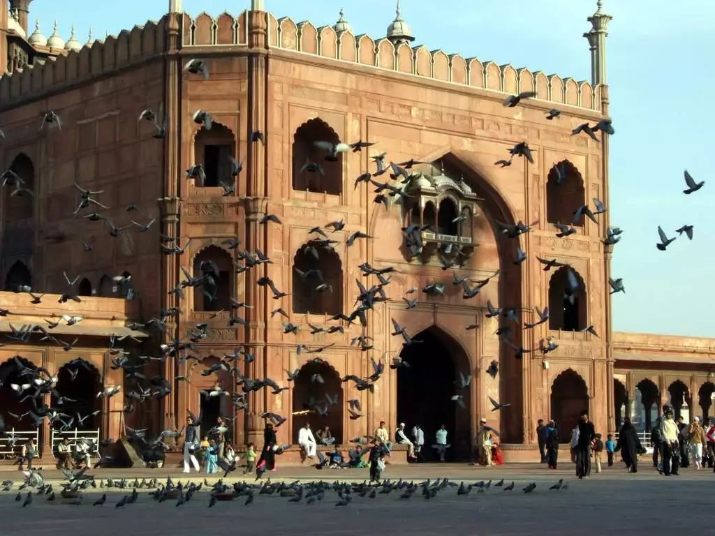 「机遇」大咖带队，第二届印度医疗器械及制药考察火热来袭