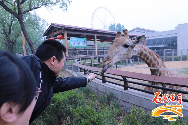夏天情侣约会适合去的地方石家庄,石家庄适合情侣约会的十大去处