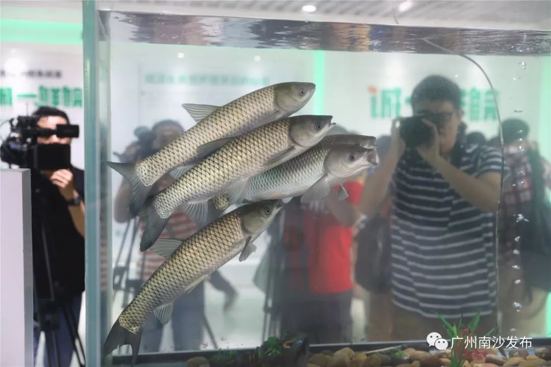 涓ぇ鍗氬＋鍏婚奔,涓ぇ鍗氬＋