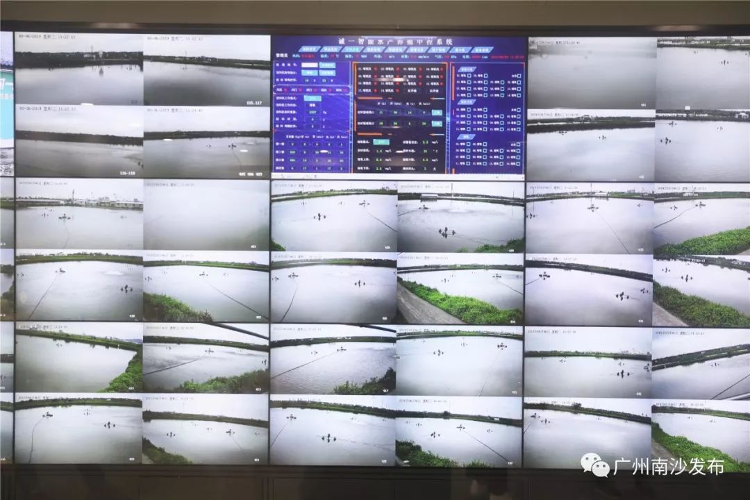 涓ぇ鍗氬＋鍏婚奔,涓ぇ鍗氬＋