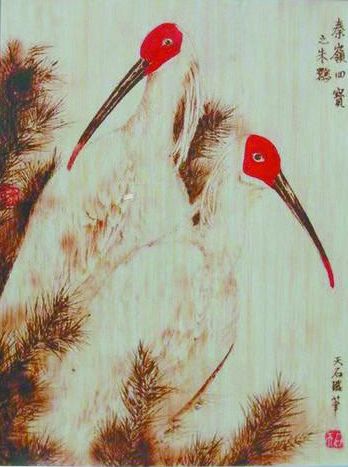 一群热爱艺术的学生,一群热爱艺术的人