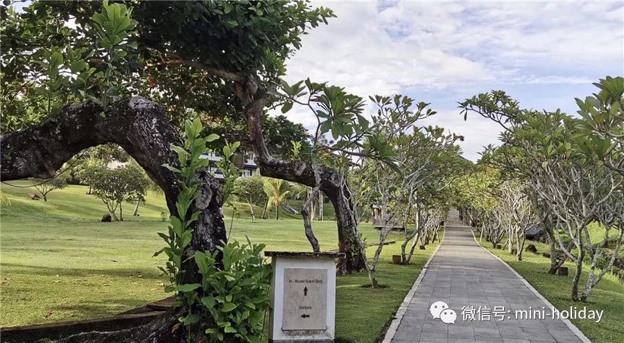 亲历|火山海龟岛屿，盼来武汉直航！“5小时飞行+落地签”身临奇境「398」