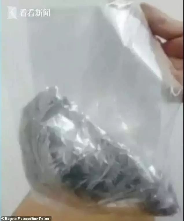 真把自己当“*皮人**袋”用，女子为藏毒竟将*品毒**缝在……