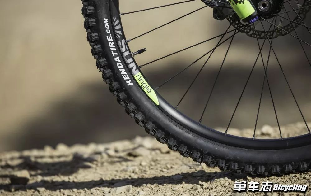 迪卡侬软尾am100s测评,polygond7和迪卡侬am100s