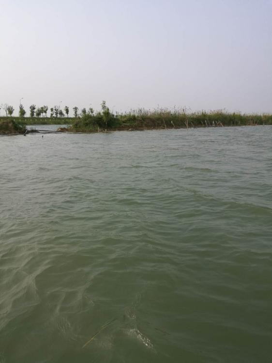 手持太极战蟹将擒得大鲤披月归