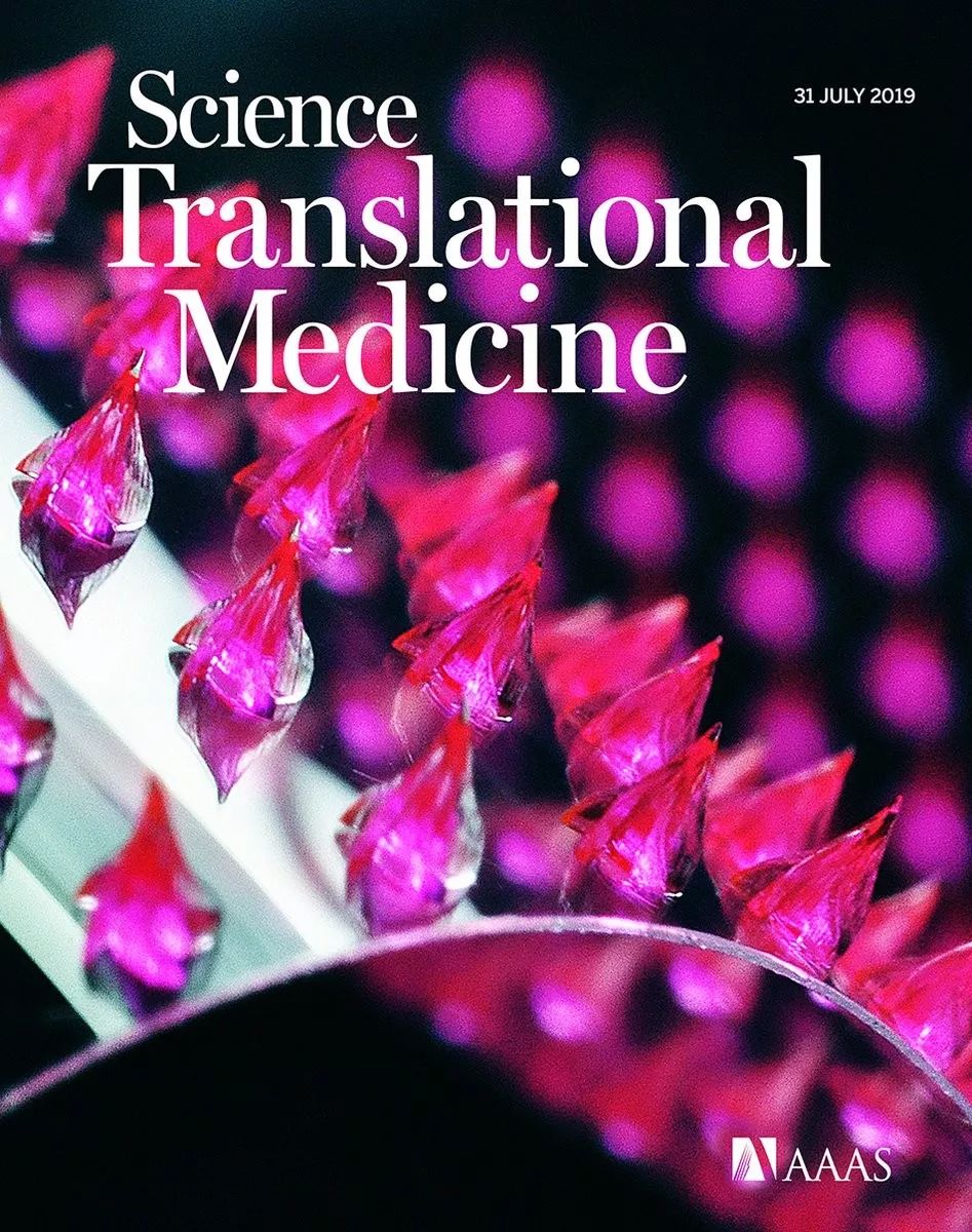 science子刊重大突破,science子刊与正刊