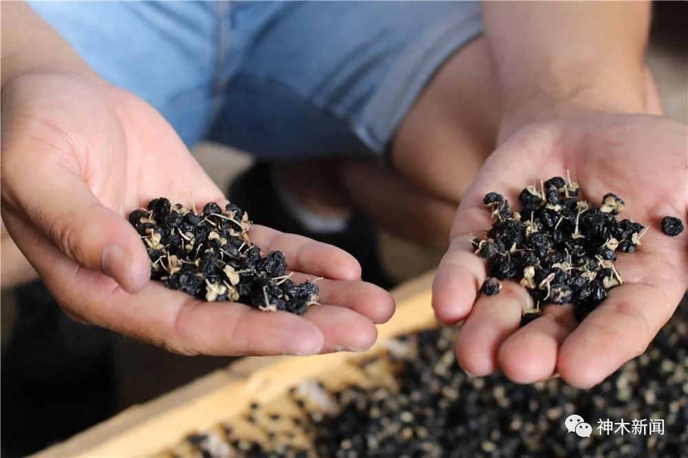 90后小伙子带村民致富,90后小伙带领全村人致富后续