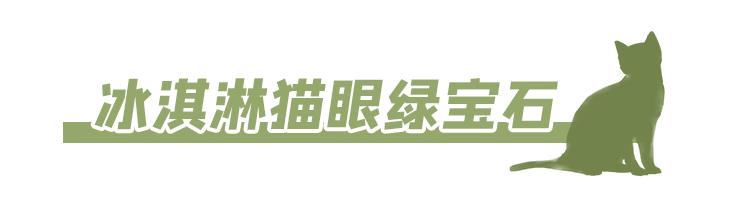 温州奈雪的茶在哪里,温州正宗奈雪的茶