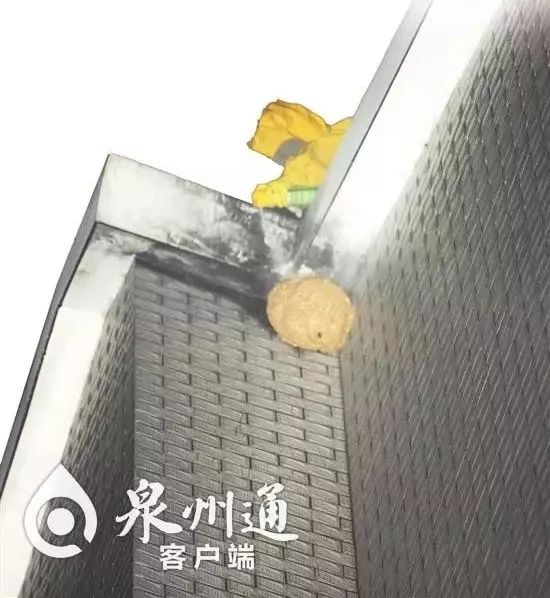 当心有毒虫,毒虫出没一晚上4人被咬紧急送医