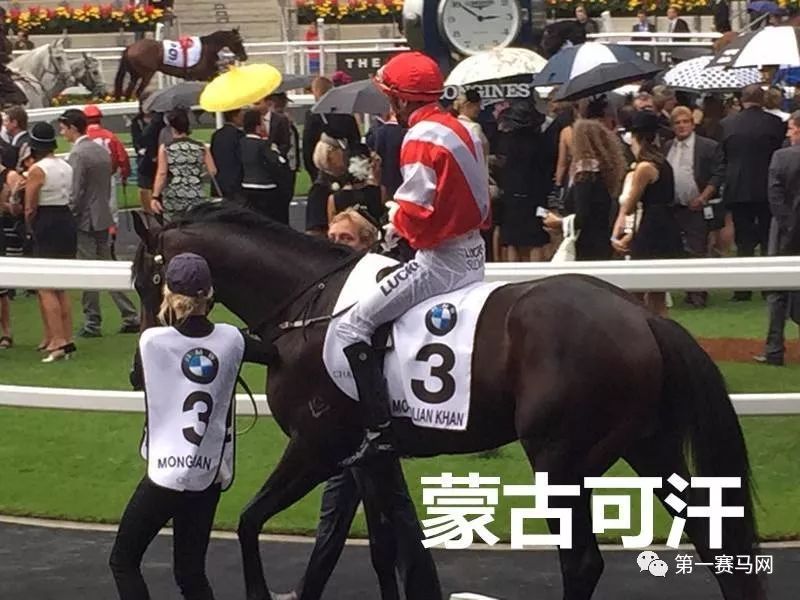 「特稿」近两年有哪些马赢了亿元奖金？内地谁的马最值钱？