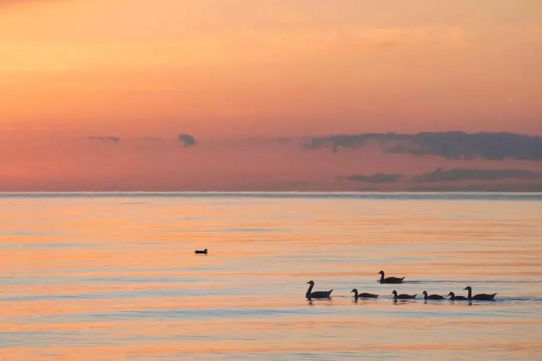 历史上10首著名的诗词,中国历史上最著名的四十首诗词