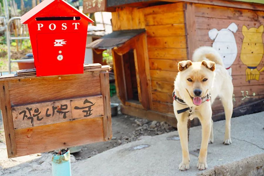 46个人的咖啡馆和2个人的幼儿园