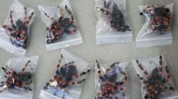 防毒面具危险区,防毒面具防毒气测试