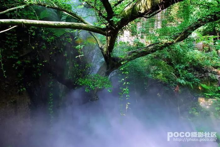 厦门五天四夜游玩攻略,三天三夜游厦门超详细攻略