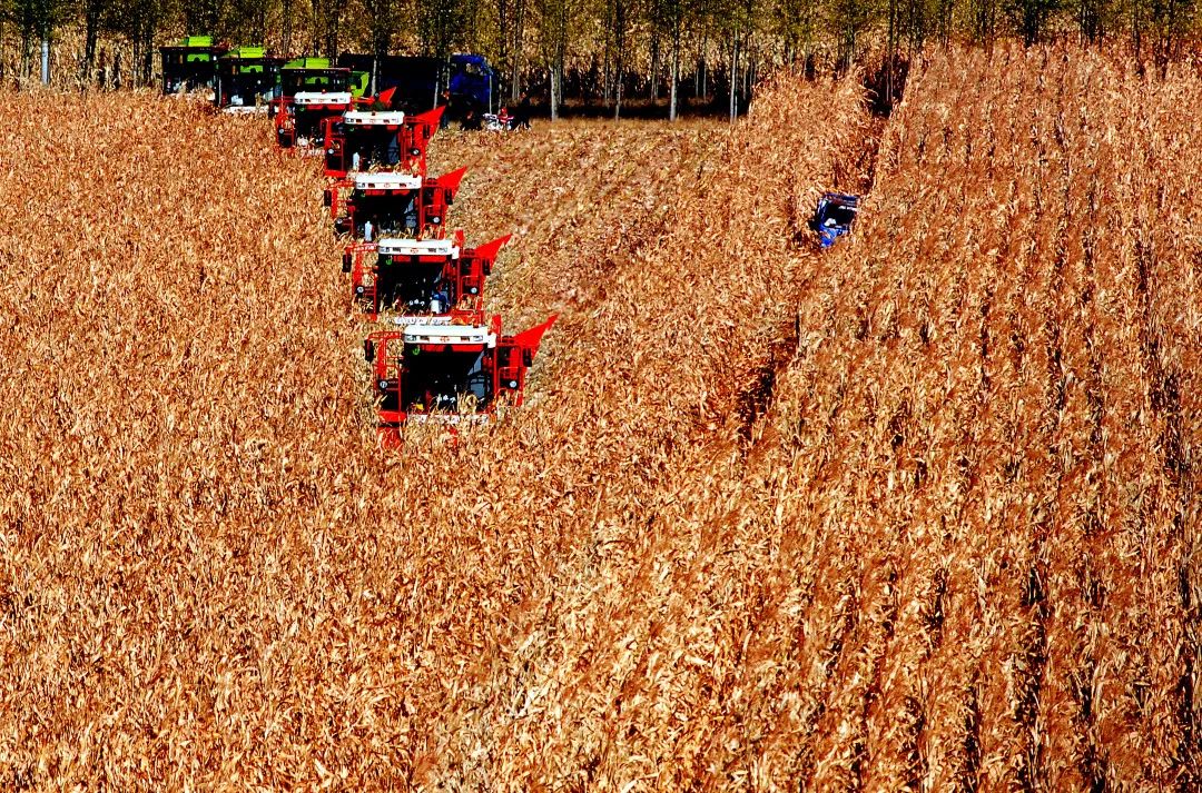 绥化发展规划,绥化高质量发展