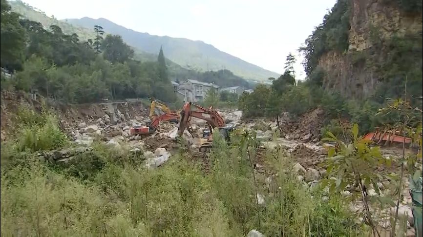 临安新好消息,临安区好消息