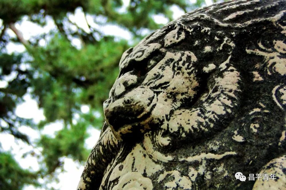 明十三陵没有发掘参观看什么,探秘明十三陵中央十台