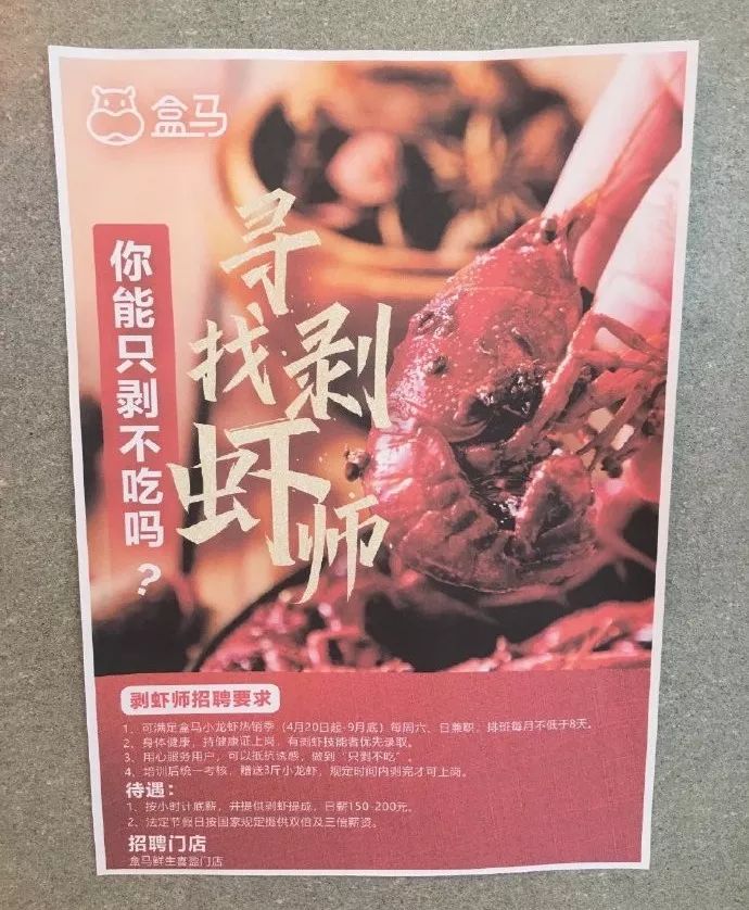 遛狗师真实收入,遛狗师的真实收入