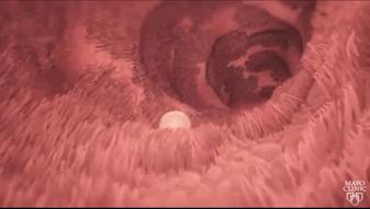 月经干净第1天同房，女朋友肚子里的孩子是不是他的？