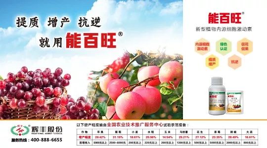 天灾带来农民的辛酸,天灾给农民带来的损失