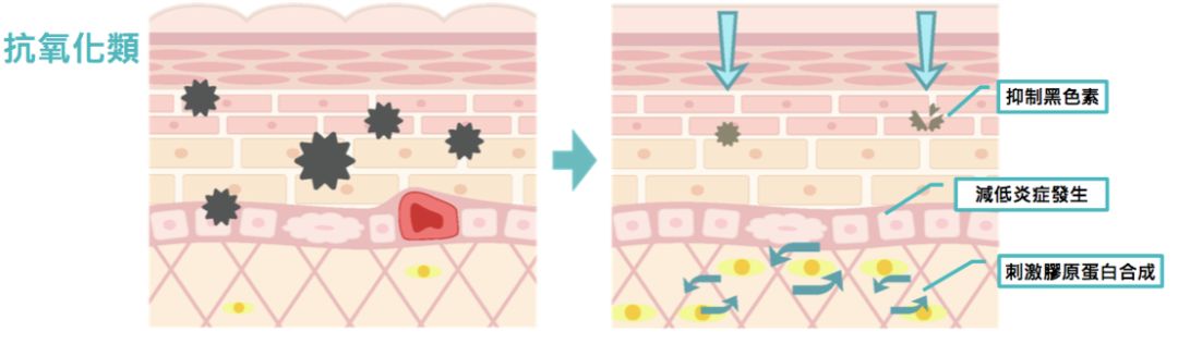 4成抗衰老眼霜抗衰老功效并不显著,同样功效的眼霜价格竟相差7倍?小鱼抗衰老眼霜绿鱼榜单为你揭晓