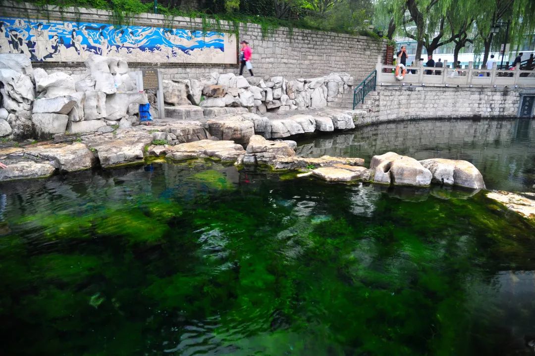 趵突泉真的超美,济南趵突泉是个很大的景点吗