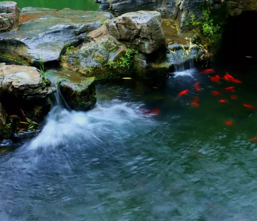 趵突泉真的超美,济南趵突泉是个很大的景点吗