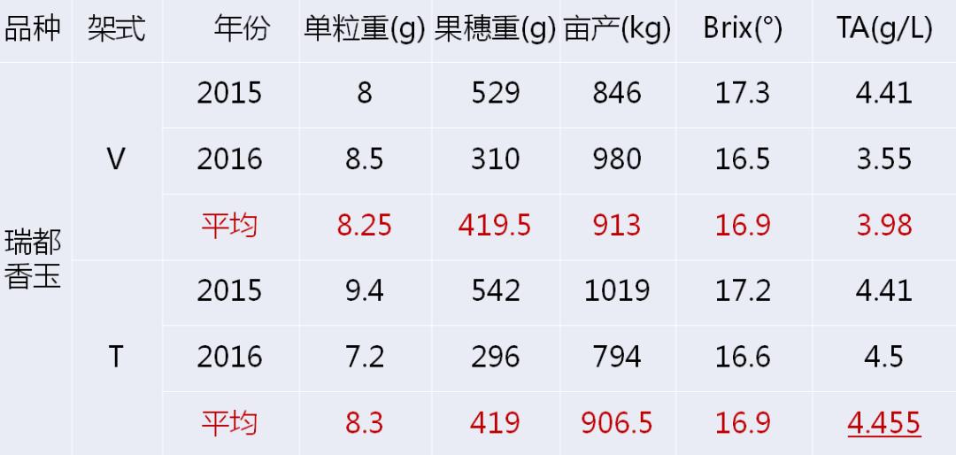 2022年有哪些新葡萄品种,2019葡萄新品种介绍