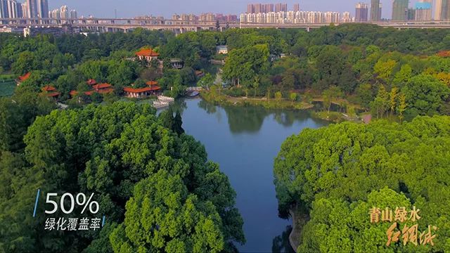 红绿蓝颜色寓意,红绿蓝的色相