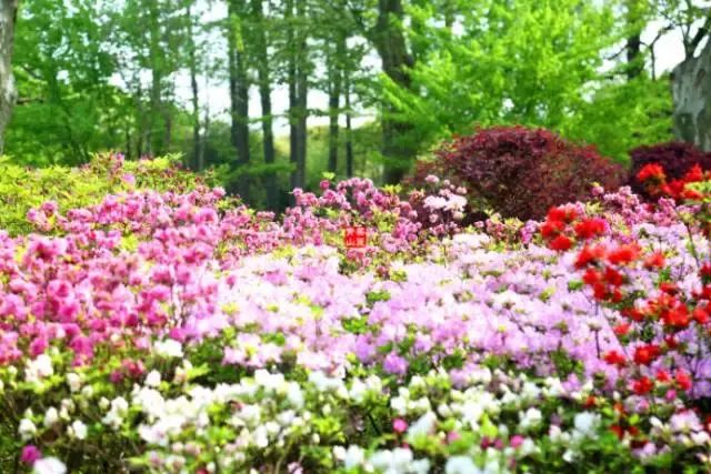 红绿蓝颜色寓意,红绿蓝的色相