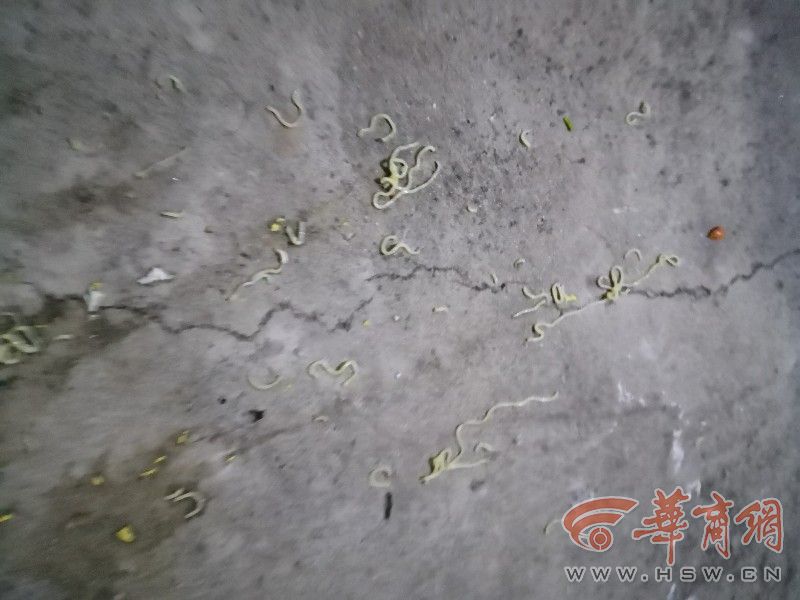 西安市小区内乱扔垃圾,西安小区垃圾事件