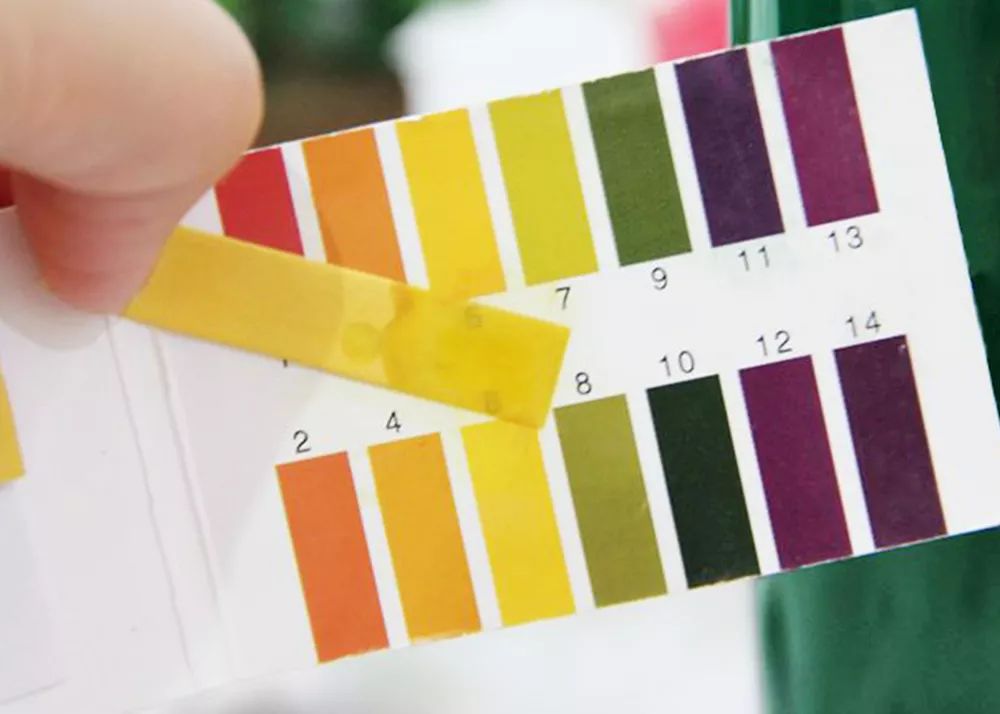 用它洗脸，脏东西自己浮出来，比做10次面膜还管用！丨开团