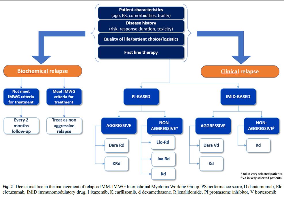 多发性骨髓瘤诊治指南,新诊断的多发性骨髓瘤诊治进展