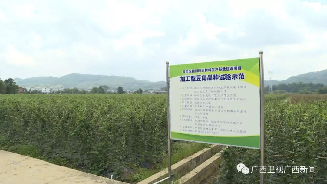 被马云看上的年轻人,被马云看上的人