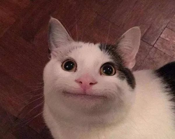 Ta在假笑么?这个识别算法可以鉴定