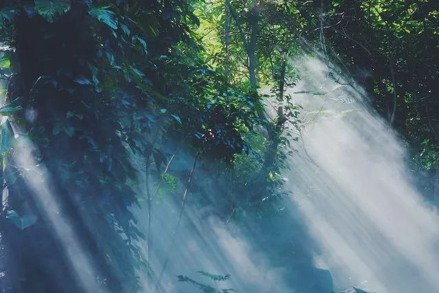 郑州免费景点排行榜前十名,2022春节郑州免费景点