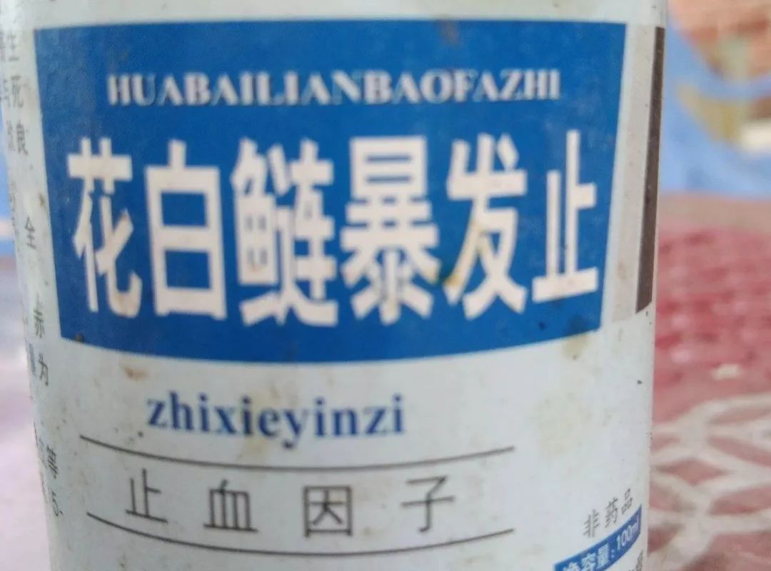 鲢鳙鱼出血病,花白鲢败血症