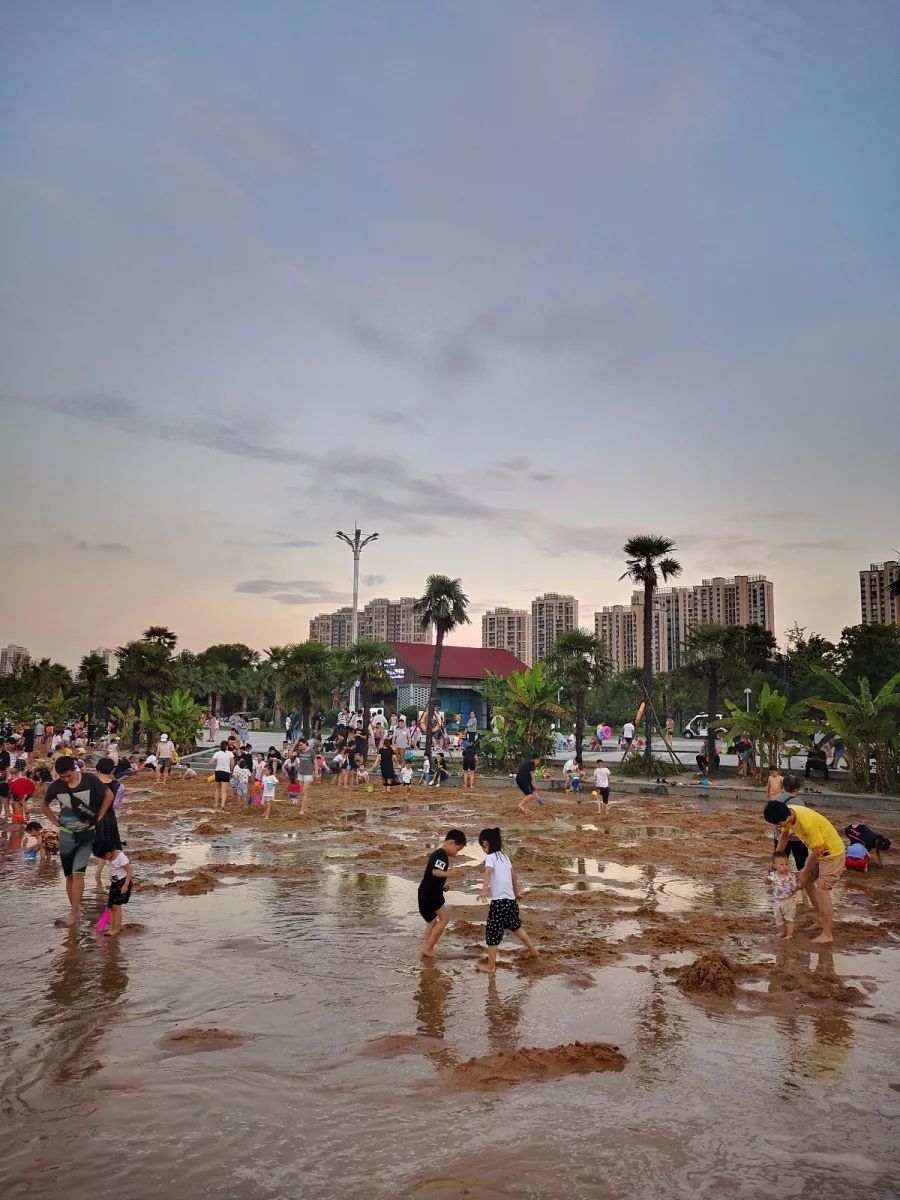 一线蹲点·太仓的生态环境越来越好，秘诀在这里