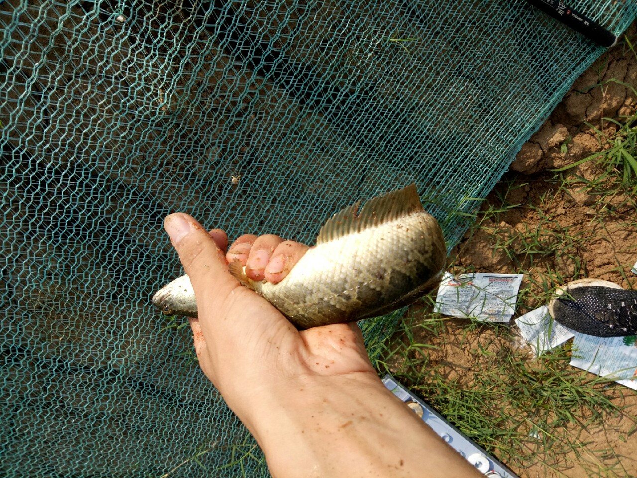 钓鱼人818攻略,钓鱼人开饵料