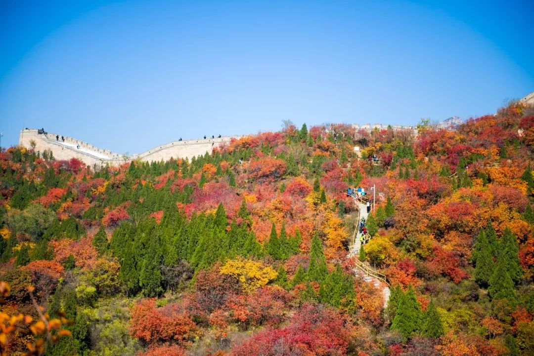 从北京到俄罗斯全过程,北京到俄罗斯沿途风景视频